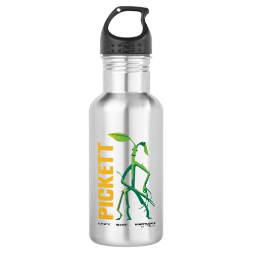 Pickett Vintage Graphic Stainless Steel Water Bottle