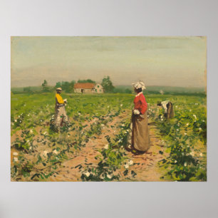 Picking Cotton - William G. Gaul Fine Art Poster