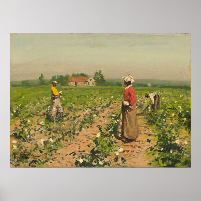 Picking Cotton - William G. Gaul Fine Art Poster (Front)