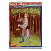 Picking fruit (Front)