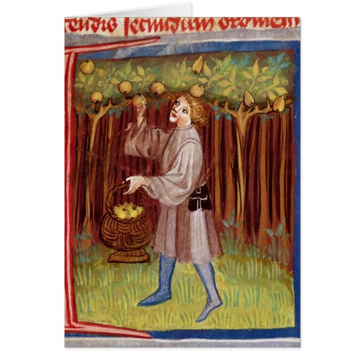 Picking fruit cards (Front)