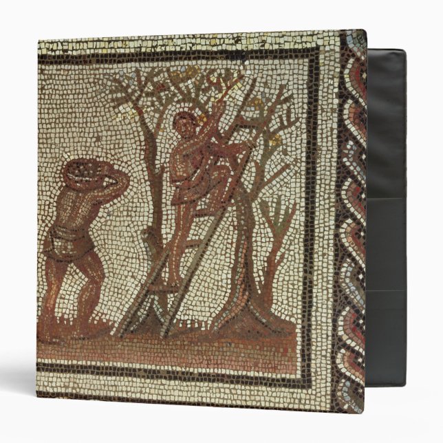 Picking Fruit, Roman Mosaic 3 Ring Binder (Front/Inside)