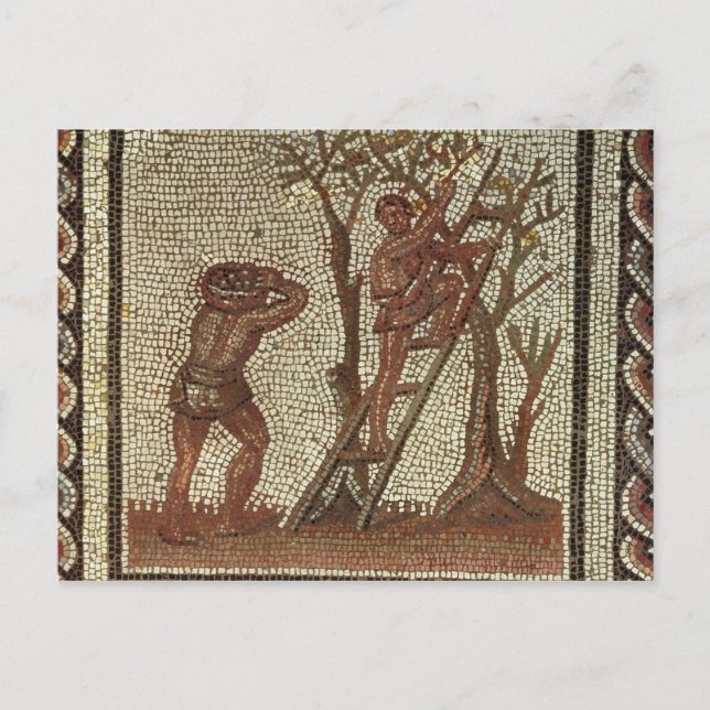 Picking Fruit, Roman Mosaic Postcard (Front)