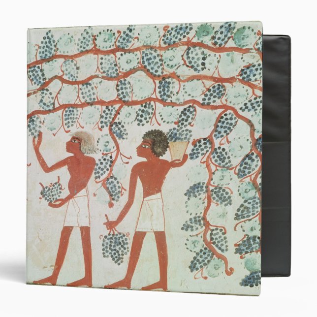 Picking grapes, from the Tomb of Nakht 3 Ring Binder (Front/Inside)