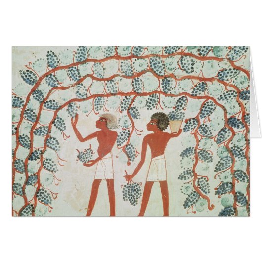 Picking grapes, from the Tomb of Nakht Cards (Front Horizontal)