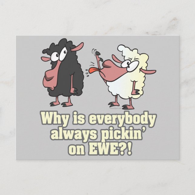 picking on EWE black sheep humor Postcard (Front)