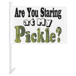 Pickle Staring Car Flag