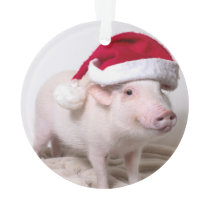 Pickle the Mini Pig Christmas Ornament