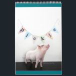 Pickle the Pig Calendar<br><div class="desc">Adorable Pickle the Pig calendar featuring all your favorite Pickle photos!</div>