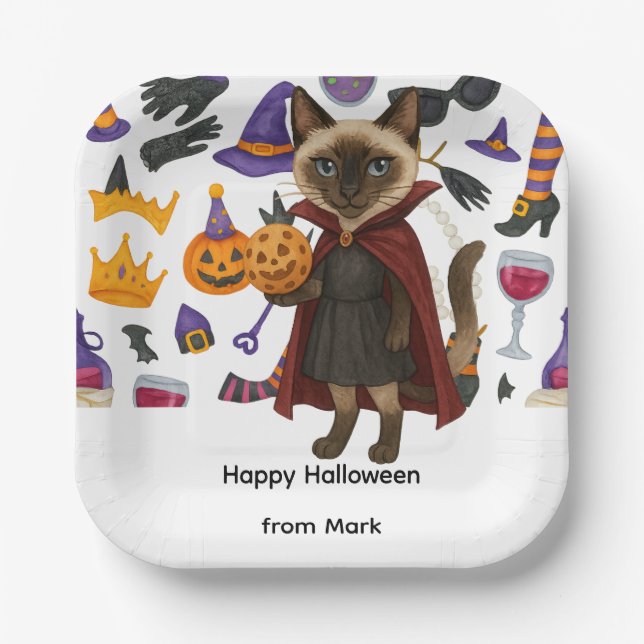 Pickleball halloween party for cat lovers  paper plates (Front)