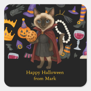 Pickleball halloween party for cat lovers  square sticker
