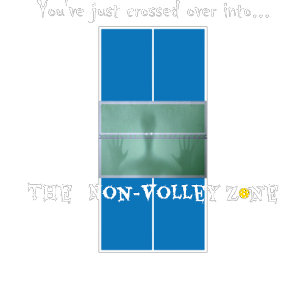 Pickleball Humor, Non-Volley Zone T-Shirt