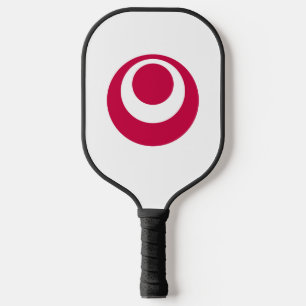 Pickleball Paddle