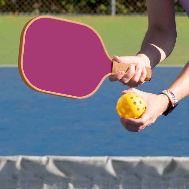 Pickleball Paddle for Beginners (Insitu)