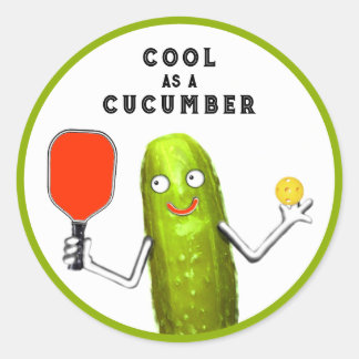 Pickleball Quote Classic Round Sticker