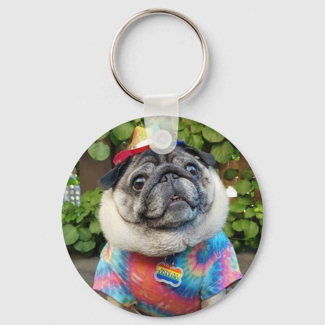 Pickles Colorful Keychain (Front)