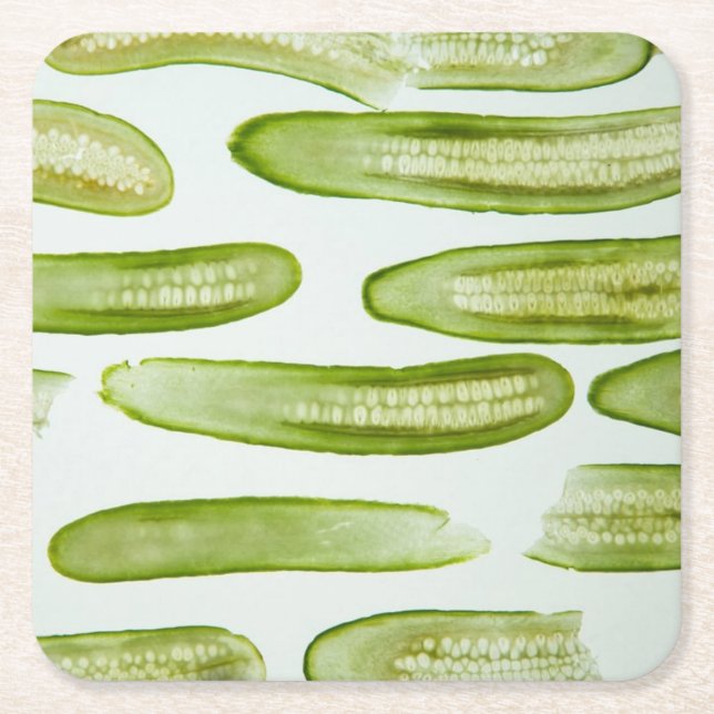 Pickles Green Square Paper Coaster (Front)