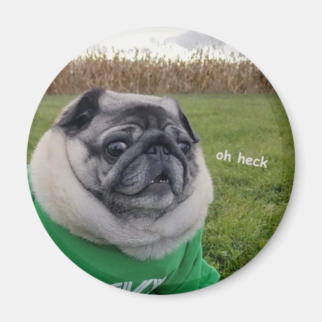 Pickles Heck Magnet (Front)