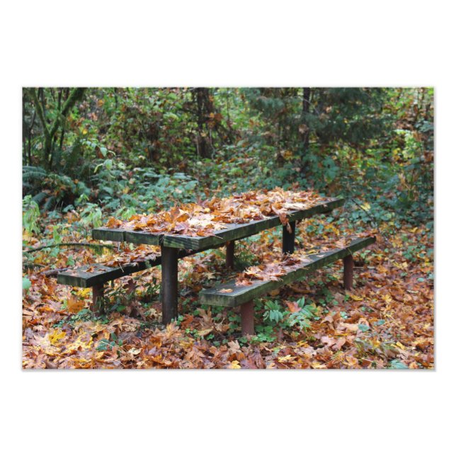Picnic Bench 19" x 13" Photo Enlargement (Front)