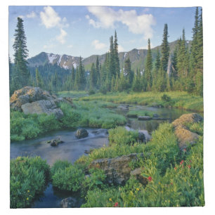 Picnic Creek in the Jewel Basin of the Swan Cloth Napkin