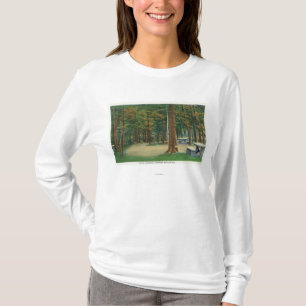 Picnic Grounds View of Saratoga Battlefield T-Shirt