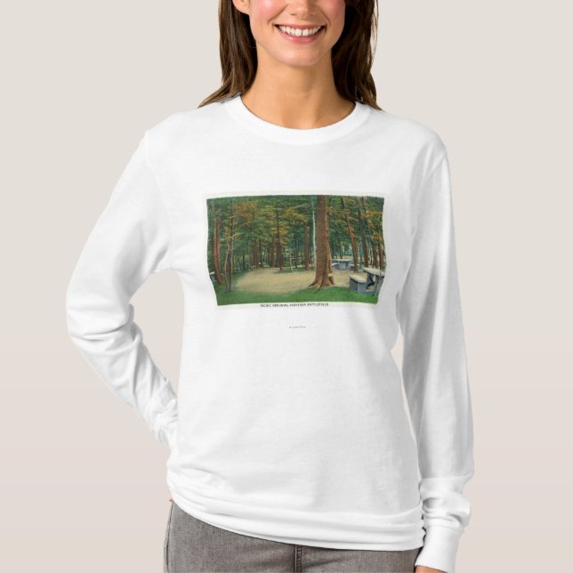 Picnic Grounds View of Saratoga Battlefield T-Shirt (Front)