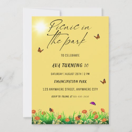 Picnic In The Park Birthday Party Invitation