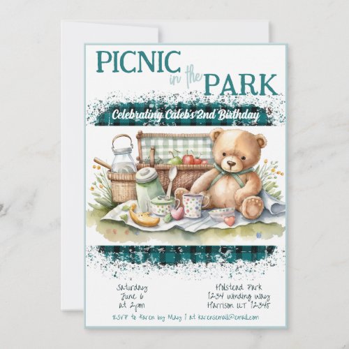 Picnic in the Park Green Plaid Boys Birthday Invitation