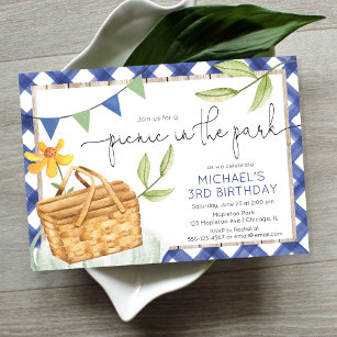 Picnic in the park summer blue boy birthday party invitation
