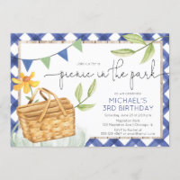 Picnic in the park summer blue boy birthday party invitation