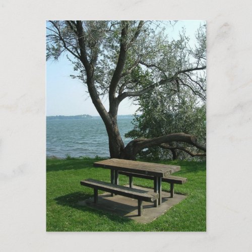 Picnic Table Along The Shoreline Postcard