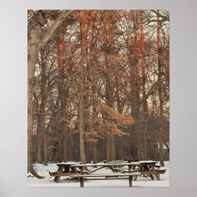 Picnic Tables During Winter Poster (Front)