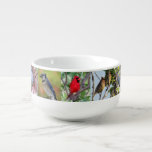 Pics Of Backyard Birds Soup Mug at Zazzle