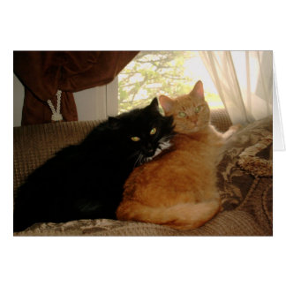 PICT0017 Kitty and Tishabella Cards