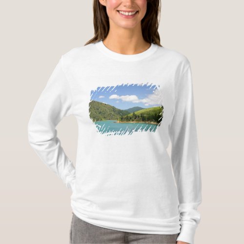 Picton New Zealand The gateway between North T_Shirt