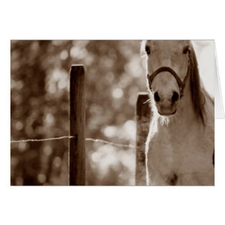 Picture1 Cards