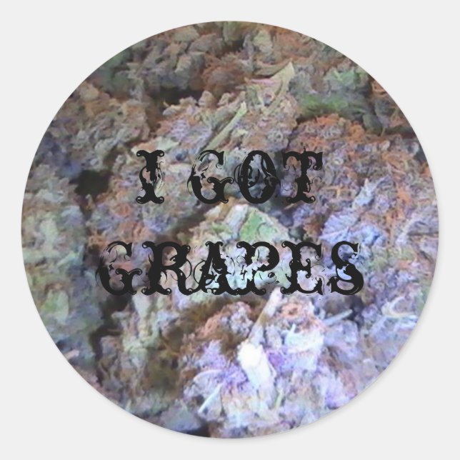 Picture 005, i got grapes classic round sticker (Front)