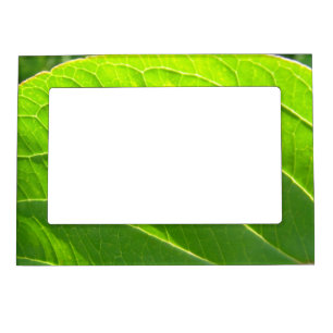 Picture frame half, lightgreen sheet