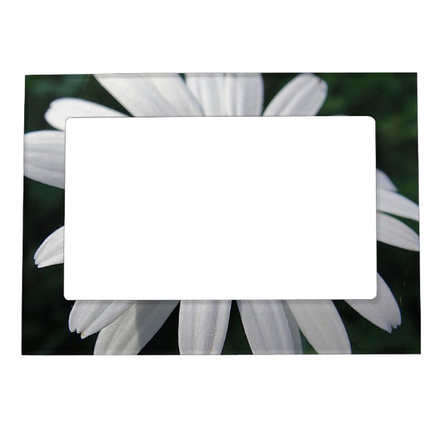 Picture frame white daisy (Front)