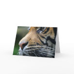 Picture Greeting Card