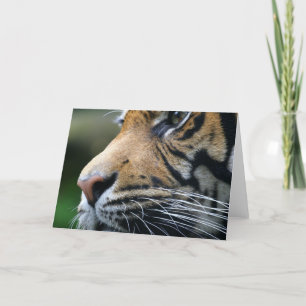 Picture Greeting Card