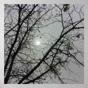 PICTURE LEDGE ECO STYLE DESIGN HOLDER