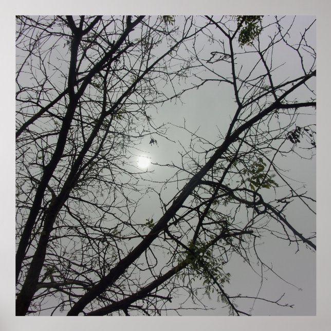 PICTURE LEDGE ECO STYLE DESIGN HOLDER (Front)