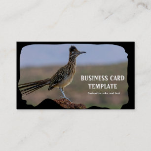 Picture Nature Desert Bird Roadrunner Business Card