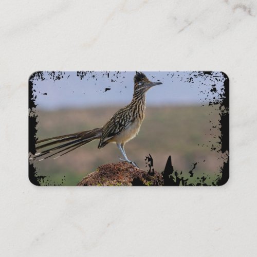 Picture Nature Desert Bird Roadrunner Business Card