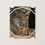 Picture of a Bobcat Puzzle