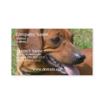 Picture of a Dachshund Business Card