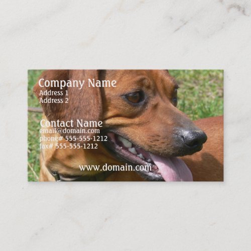 Picture of a Dachshund Business Card