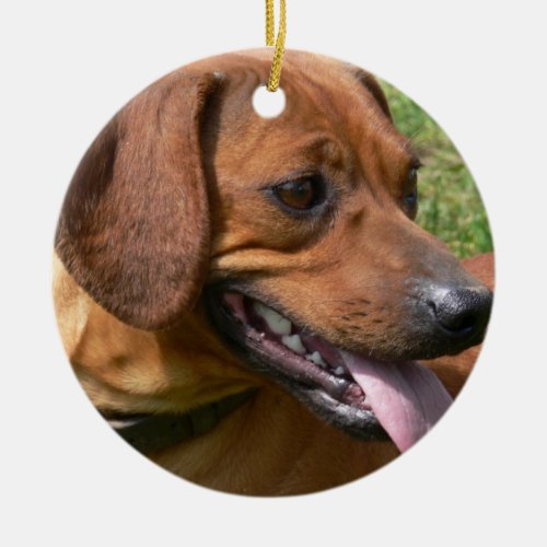 Picture of a Dachshund Ornament