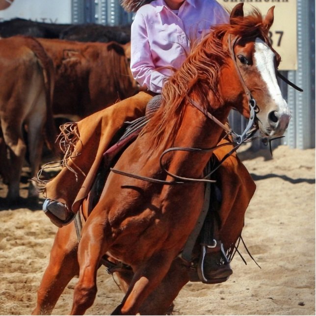 Picture Of A Horse And A Cowgirl Cutout (Front)